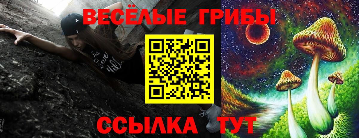 Реж  Псилоцибиновые грибы ЛСД  Вход с VPN 